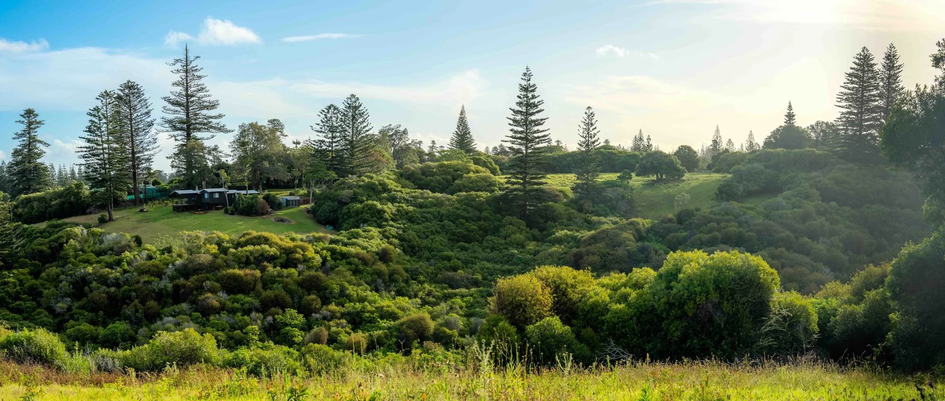 Additional image 3 of 77z4 Longridge Road, Norfolk Island NSW 2899