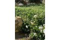 Additional image 38 of 3200 LA Rotonda Dr Unit 613, Rancho Palos Verdes, CA, 90275