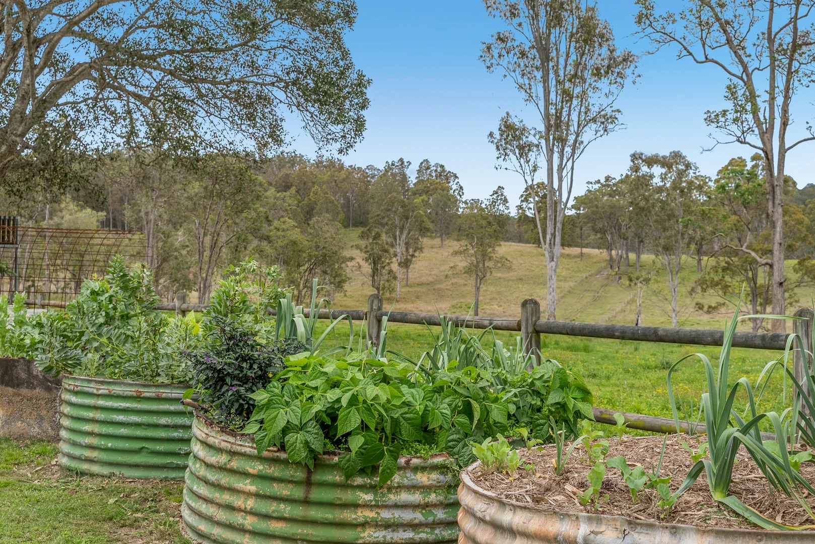 Additional image 29 of 1139 Old Dyraaba Rd, Lower Dyraaba NSW 2470