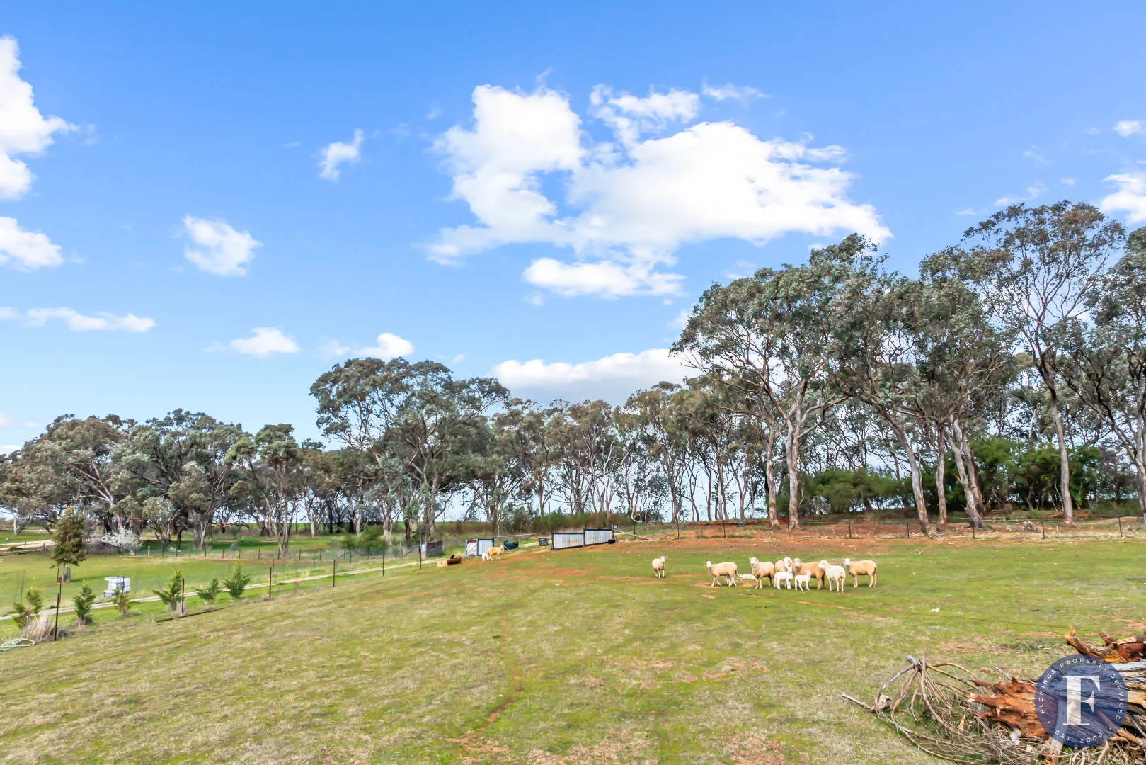Additional image 7 of 114 Boundary Road, Young NSW 2594