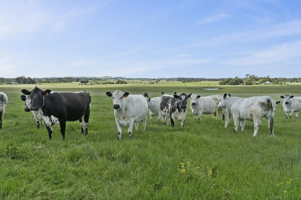 Additional image 3 of 45 Holmchase Road, Elliminyt VIC 3250