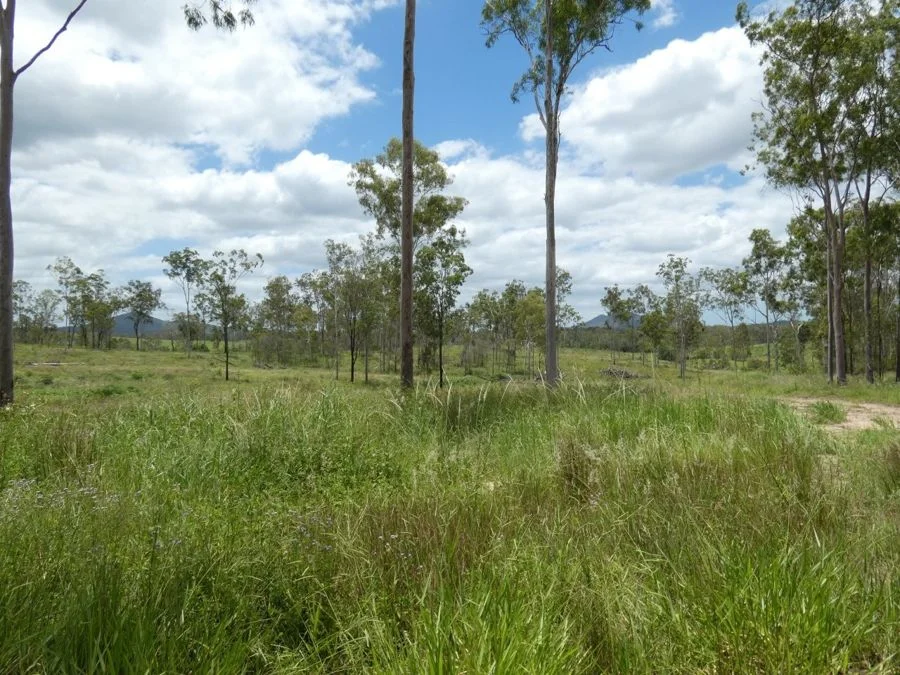 Additional image 4 of Lot 43 Moolyung Road, Waterloo QLD 4673