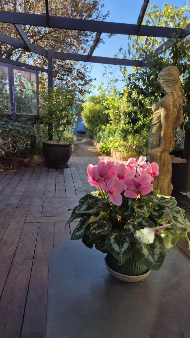 Additional image 3 of 100 Railway Road, Elmore VIC 3558