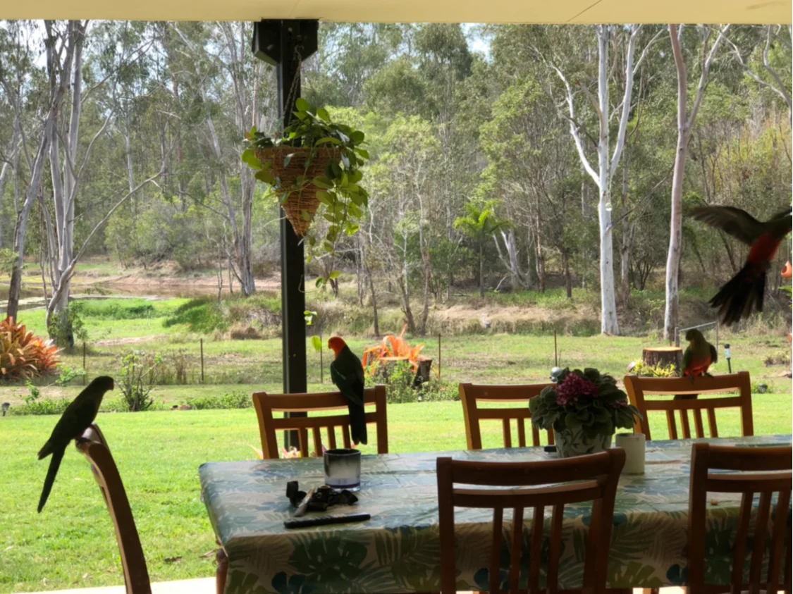 Additional image 21 of 847 Old Gympie Road, Paterson QLD 4570