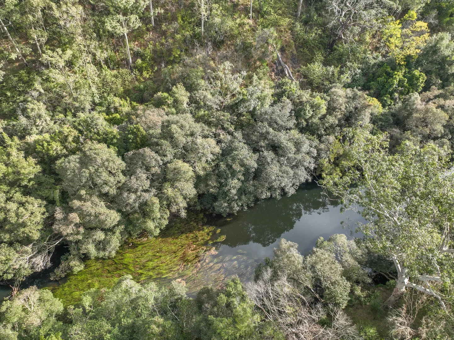 Additional image 6 of 56 Carisbrook Road, Morton NSW 2538