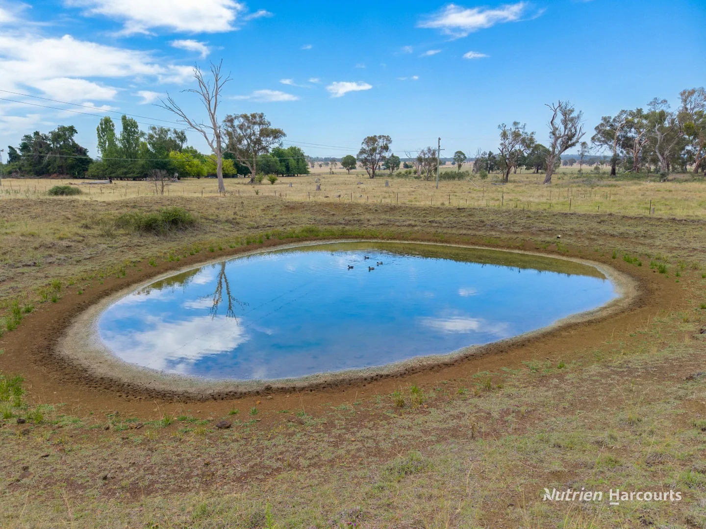 Additional image 21 of 40 Jacksons Road, Armidale NSW 2350