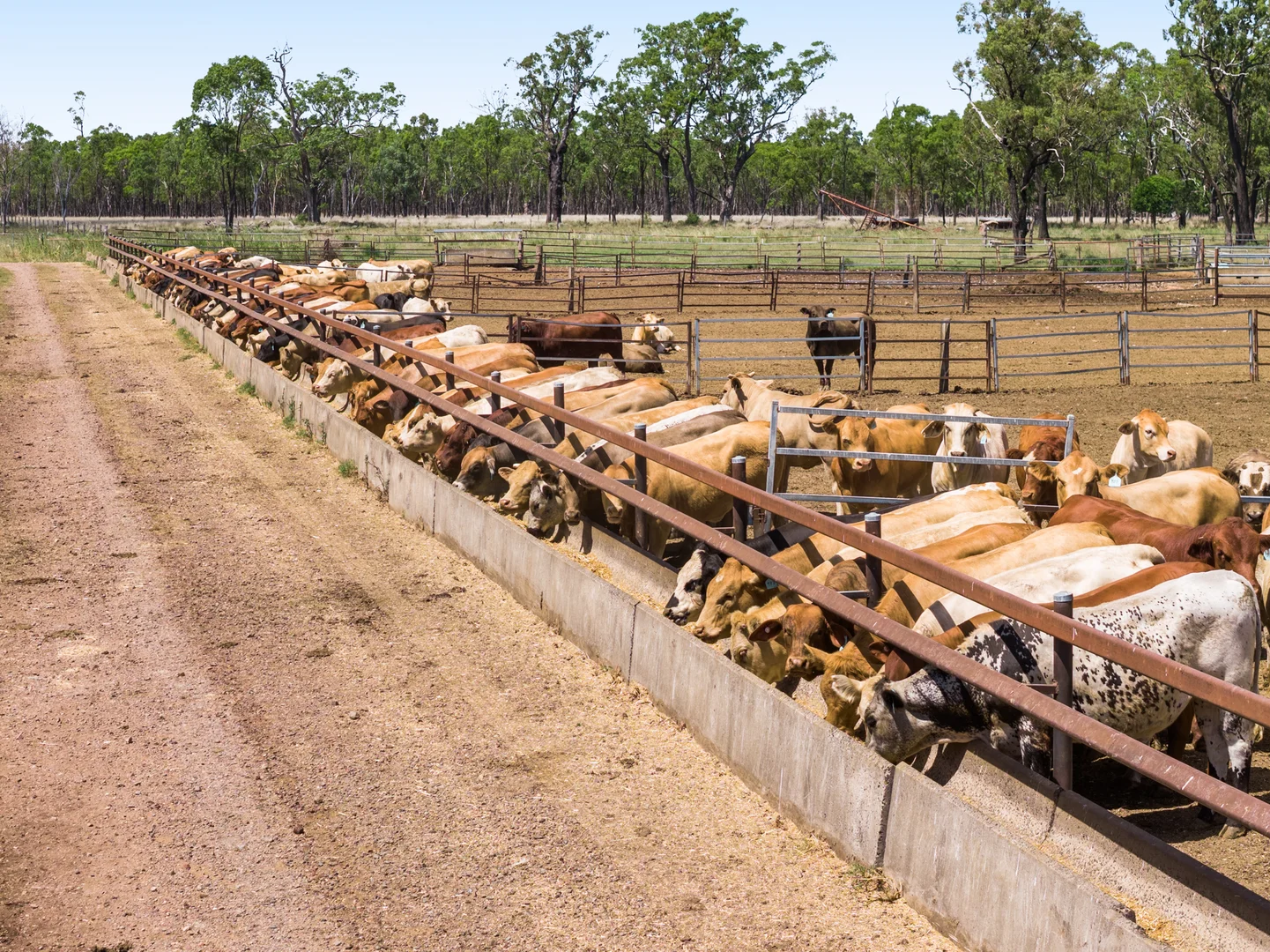 Additional image 8 of 'Ashby' 48 Felton View Road, Ellangowan QLD 4361