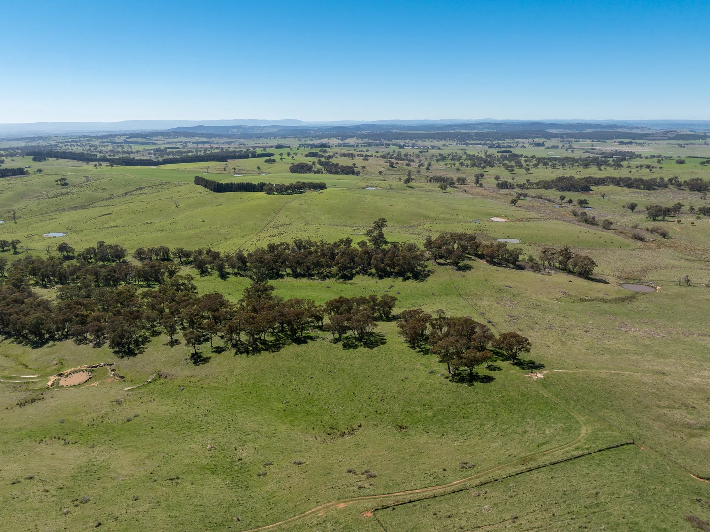 Additional image 12 of 242 Bundaleer Road, Newbridge NSW 2795