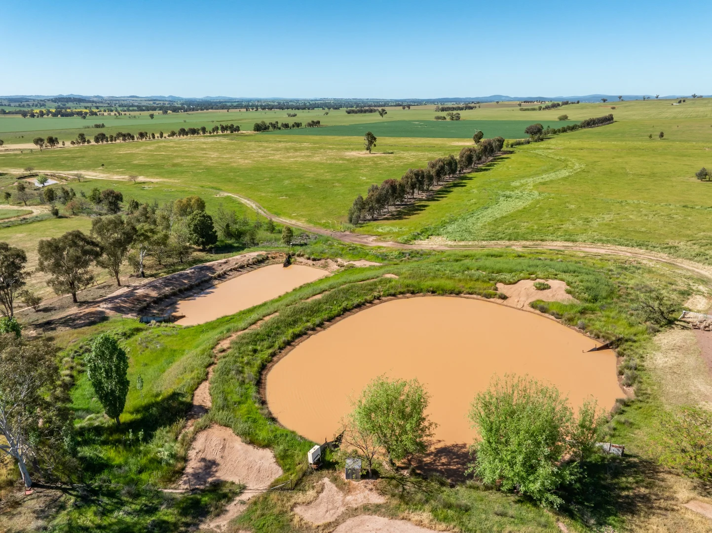 Additional image 26 of 92 Campbells Lane, Canowindra NSW 2804