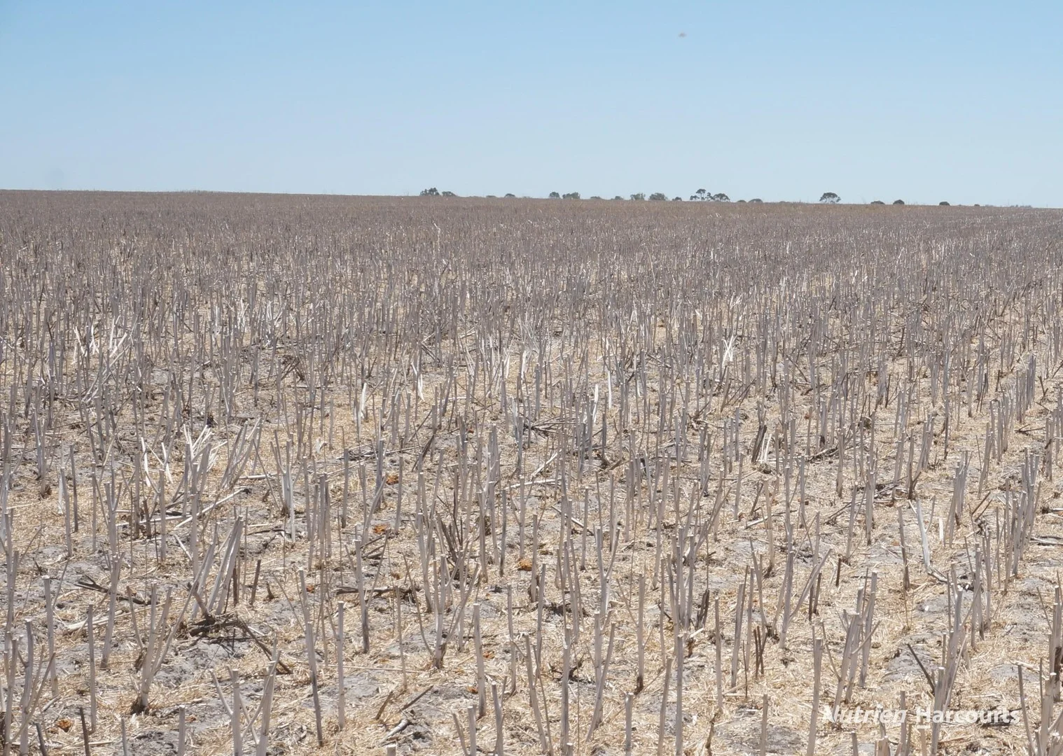 Lot 626 Gibson Road, Gibson WA 6448