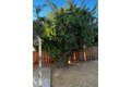 Additional image 16 of 1460 Portsmouth Ln, Gustine, CA, 95322