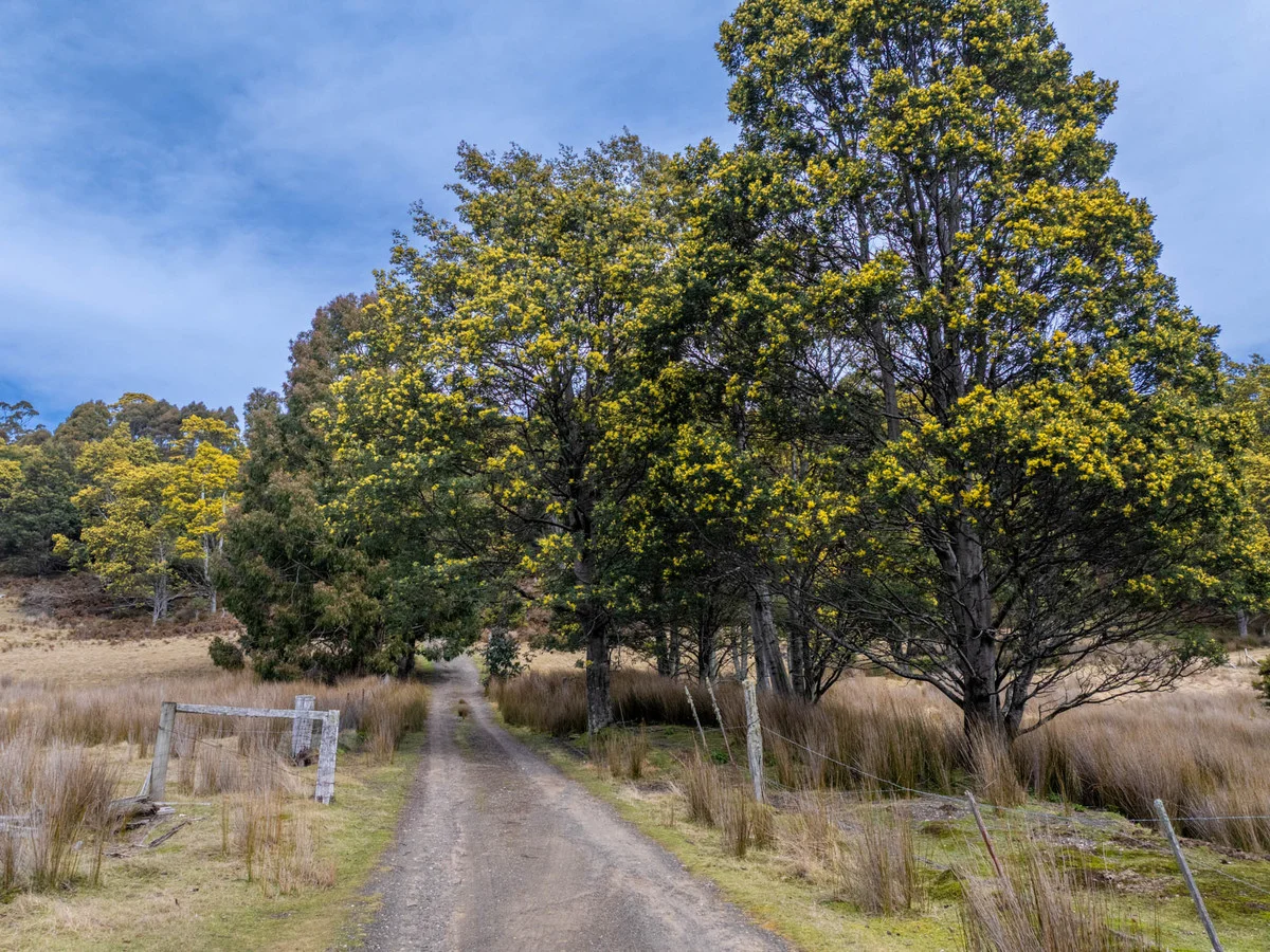 Additional image 2 of 12627 Highland Lakes Road, Golden Valley TAS 7304