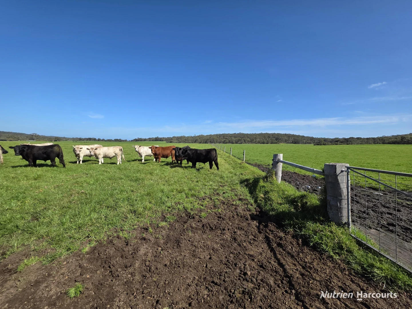 Additional image 16 of 60 Skippings Road, Kordabup WA 6333