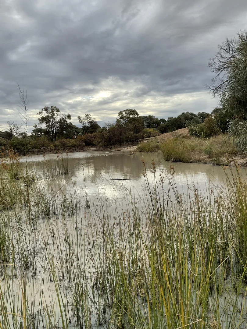 Additional image 16 of 2001 Tullagrie Road, Tara QLD 4421