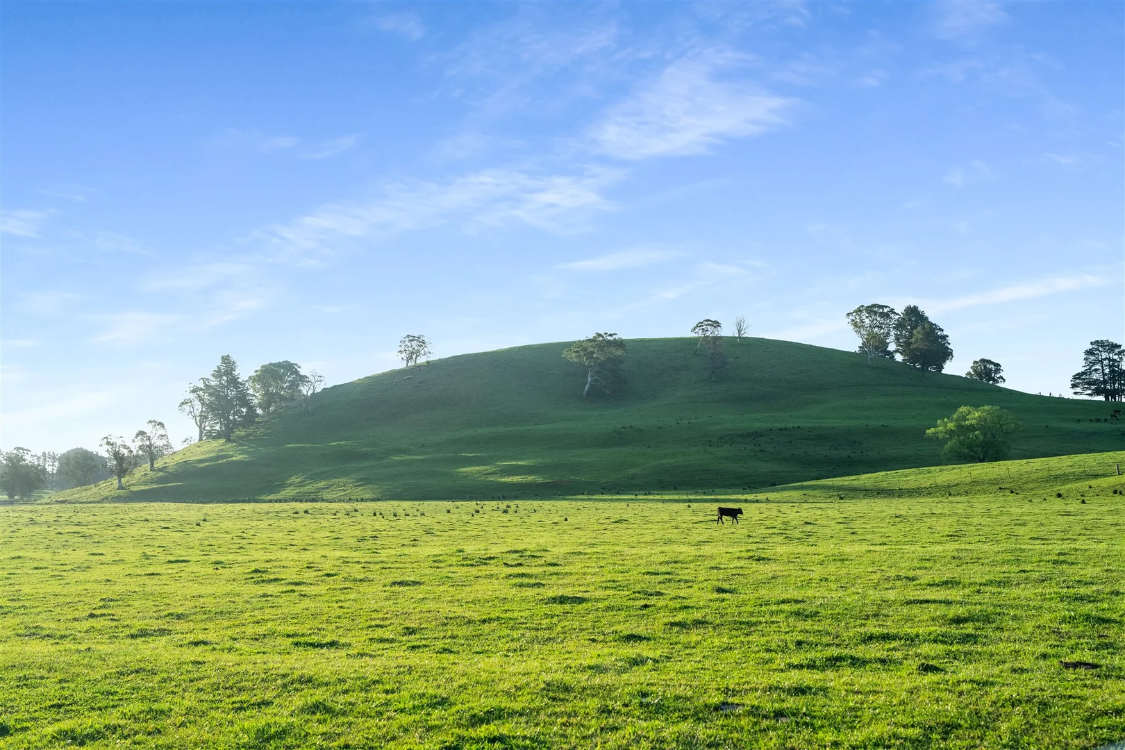 Additional image 10 of 790 Kangaloon Road, Glenquarry NSW 2576