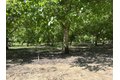 Additional image 27 of 18525 Farquhar Rd, Cottonwood, CA, 96022