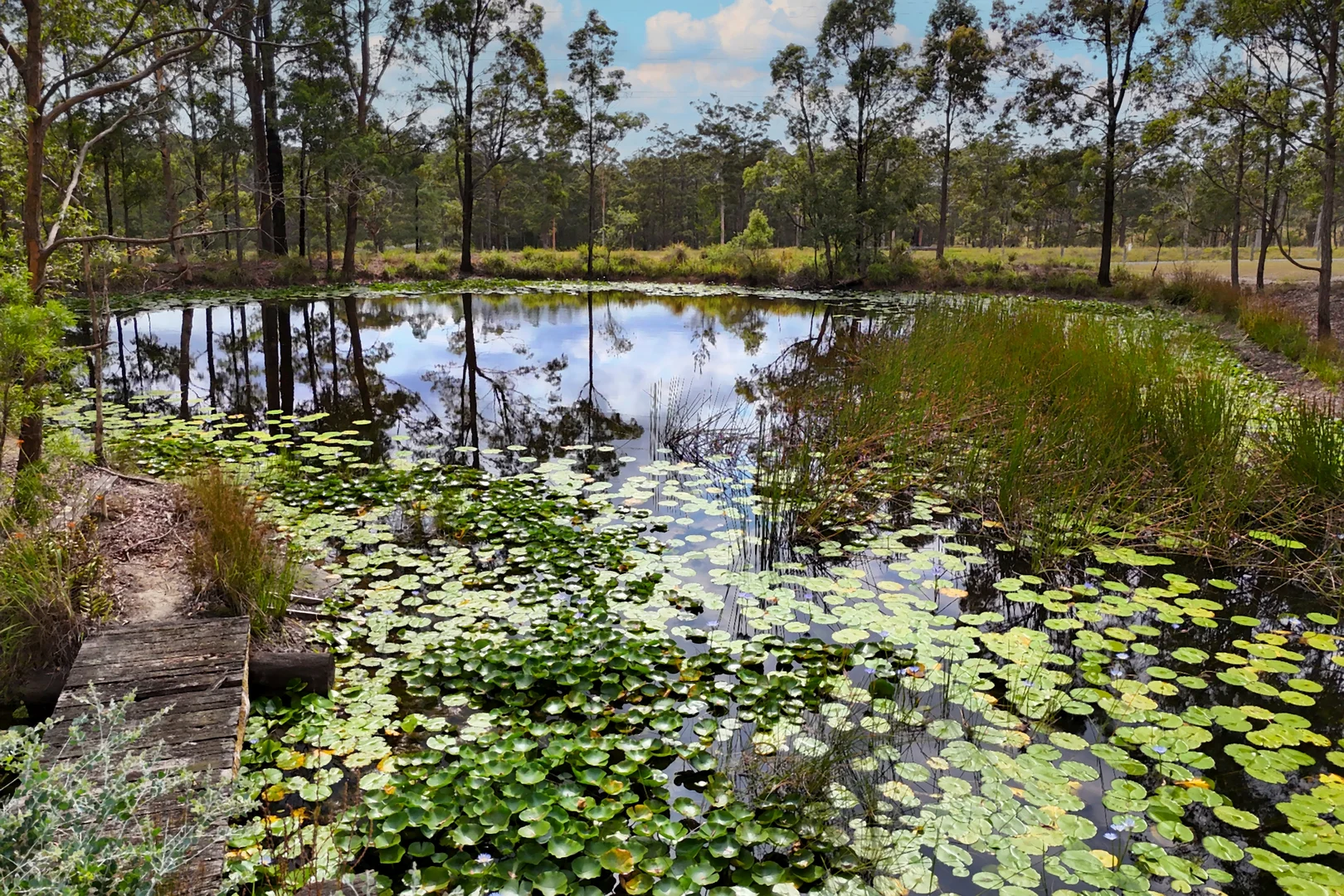 Additional image 28 of 75 Smiths Creek Road, Kundabung NSW 2441