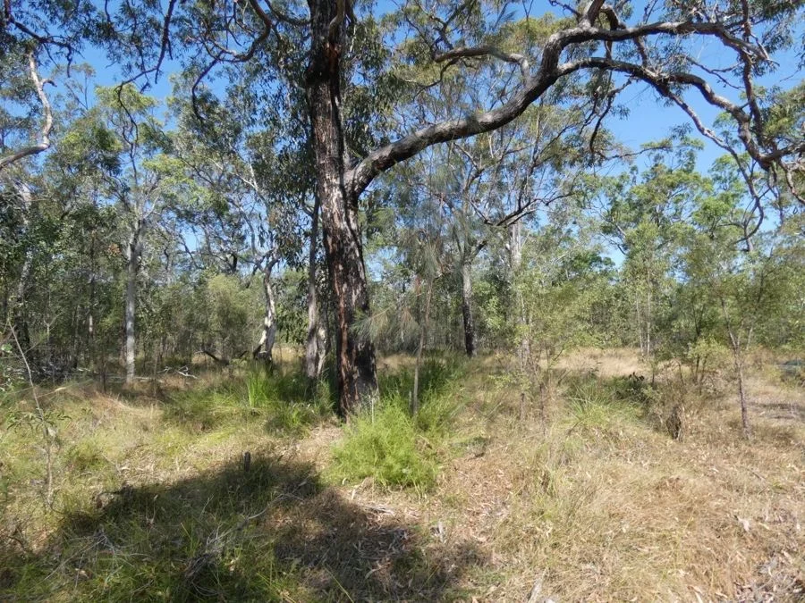 Additional image 28 of 641 Capricornia Drive, Deepwater QLD 4674