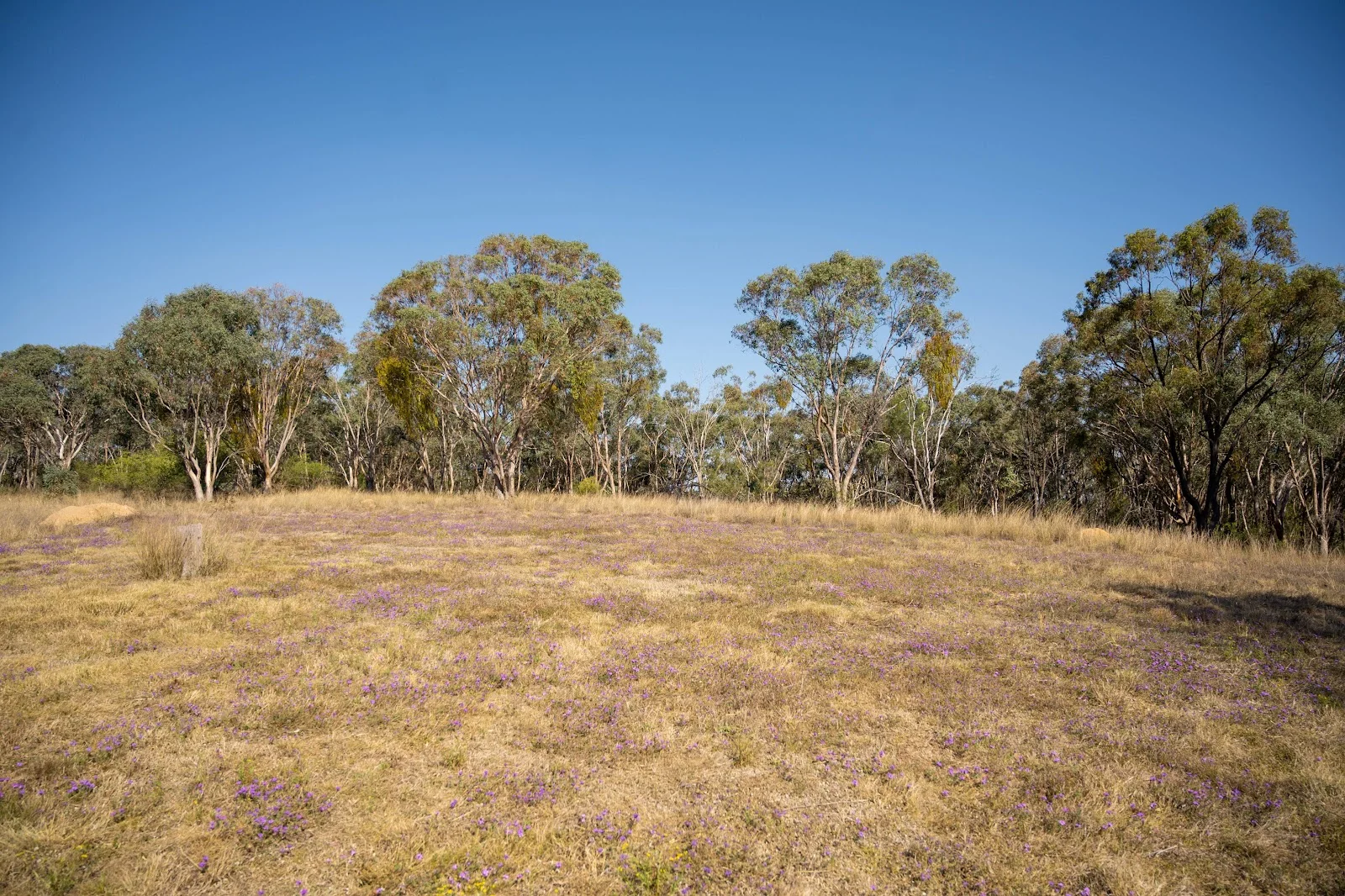 Additional image 6 of Lot 8 & 43 Edens Chase, Rosenthal Heights QLD 4370