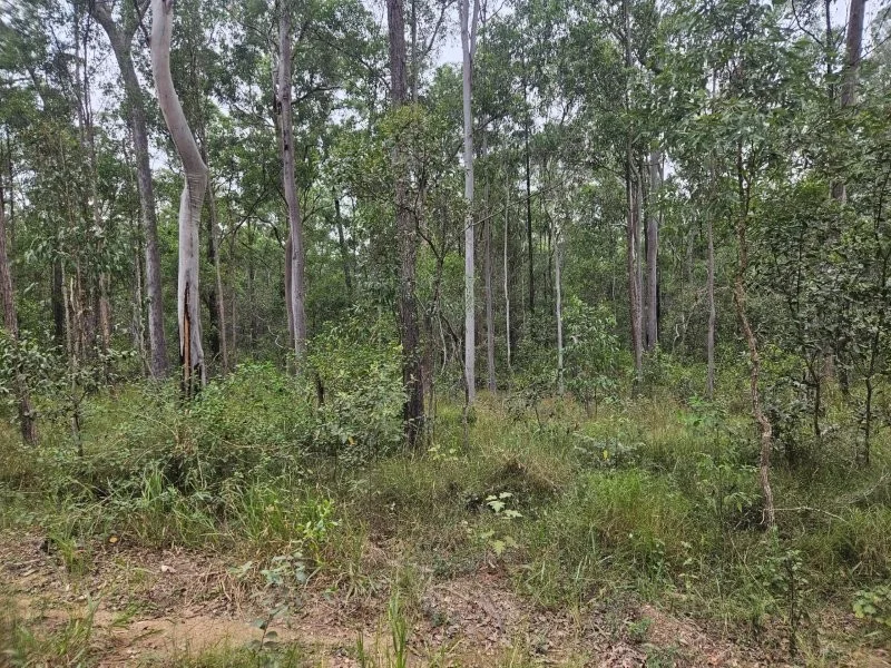Additional image 19 of 0 Davis Road, Bauple Forest QLD 4650