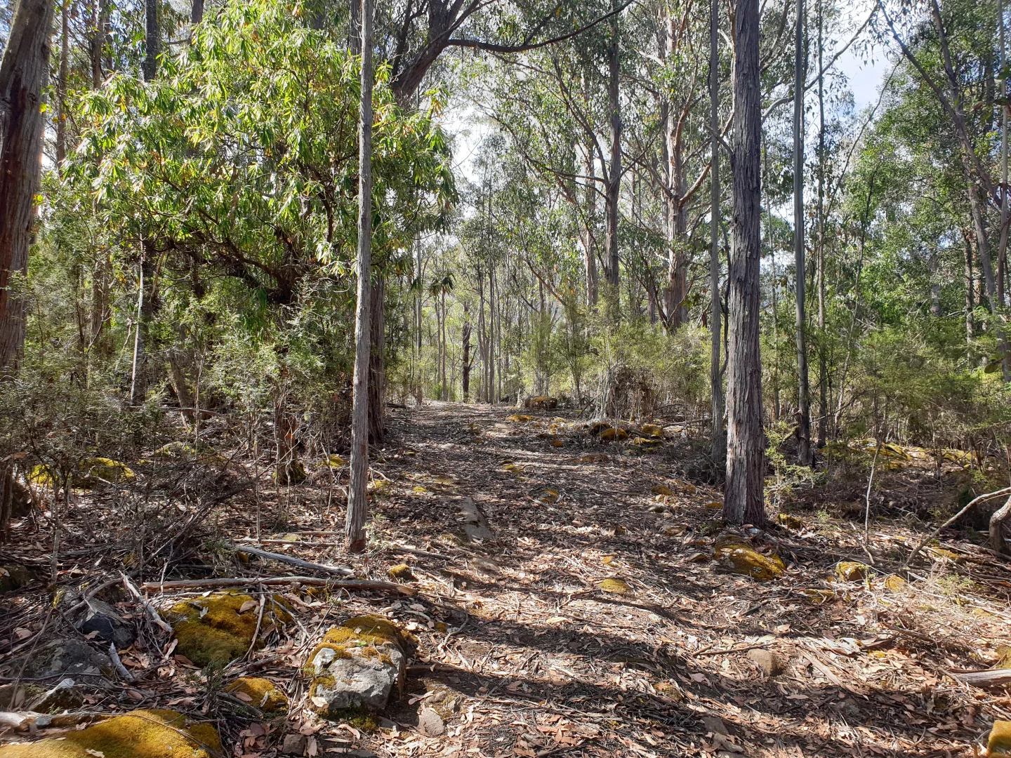 Additional image 13 of Lot 5 Liddells Road, Crabtree TAS 7109