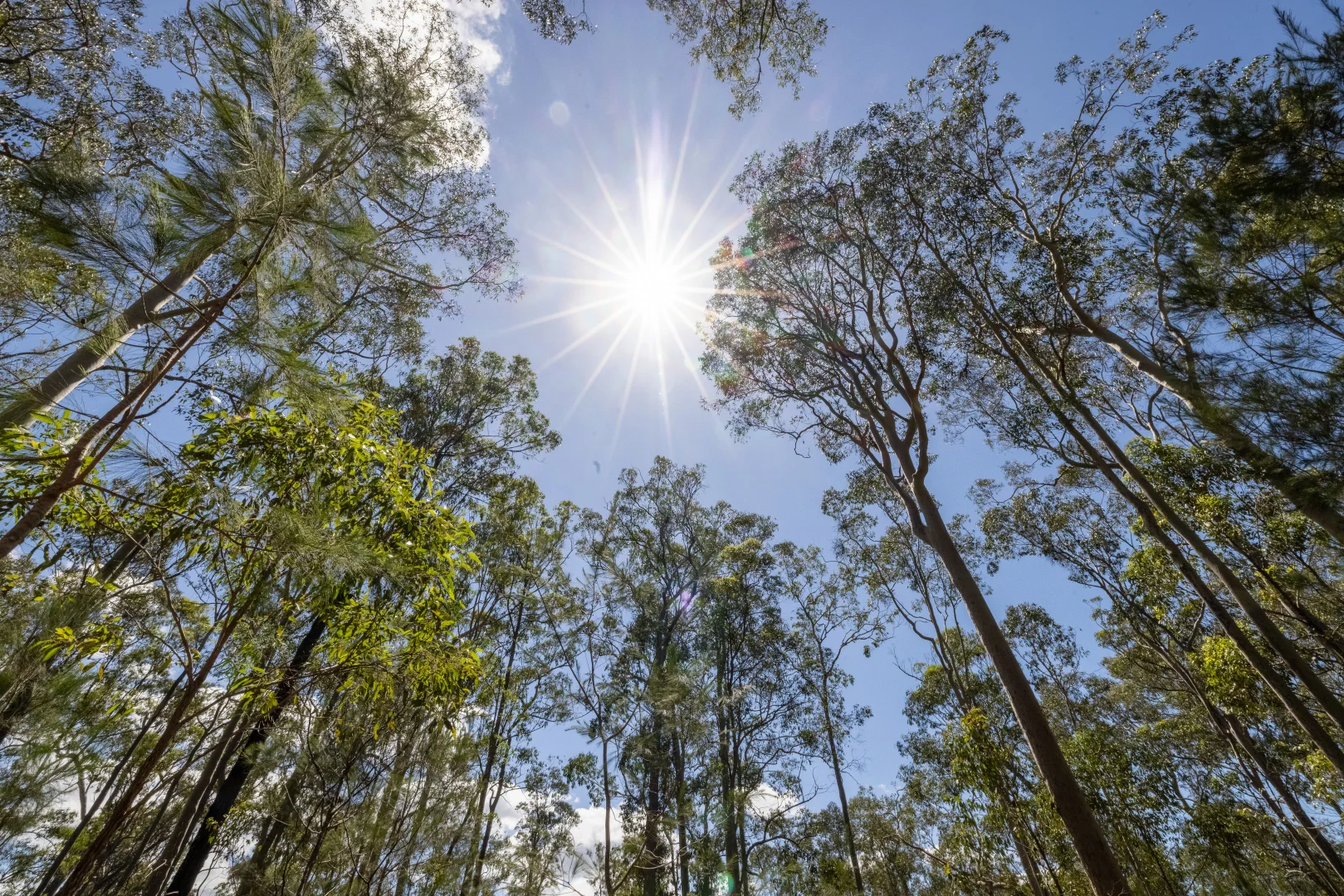 Additional image 8 of Lot 26 Warrina Circuit, Minimbah NSW 2312