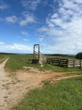 Additional image 10 of 226 Hursts Road, Lileah TAS 7330