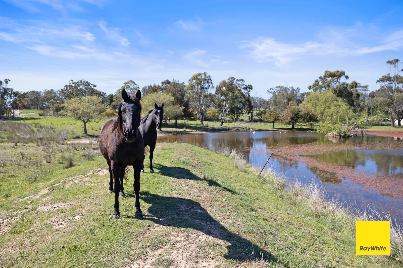 Additional image 33 of 63 Creekborough Road, Bywong NSW 2621
