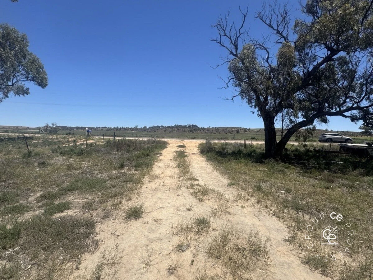 Additional image 10 of 73 Mallee Road, Walker Flat SA 5238