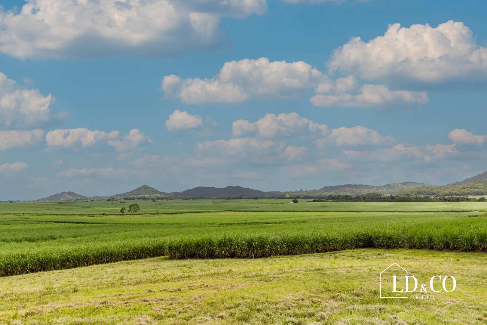 Additional image 9 of 254 Mapalo Road, The Leap QLD 4740