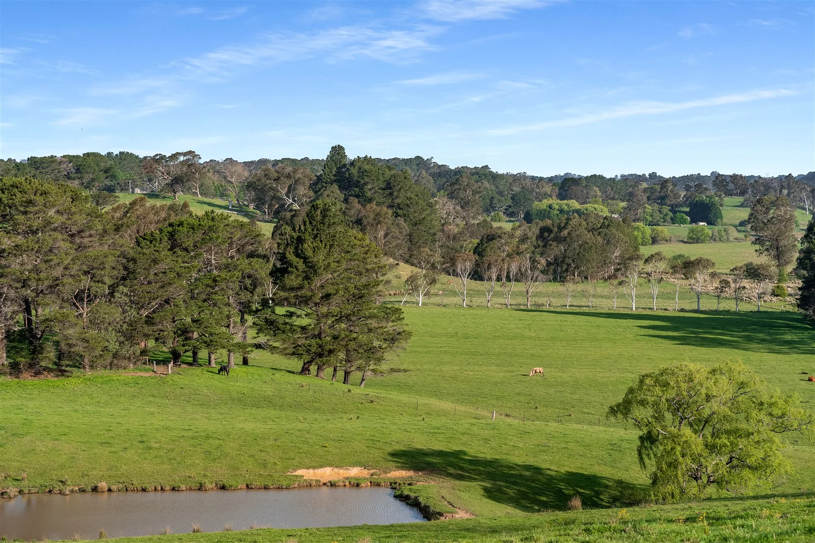 Additional image 8 of 790 Kangaloon Road, Glenquarry NSW 2576