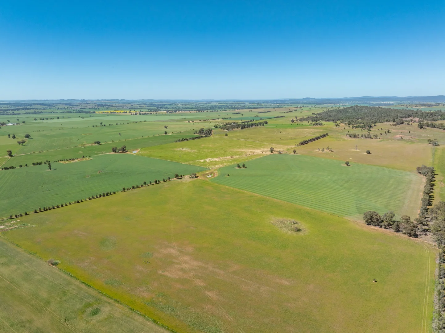 Additional image 37 of 92 Campbells Lane, Canowindra NSW 2804