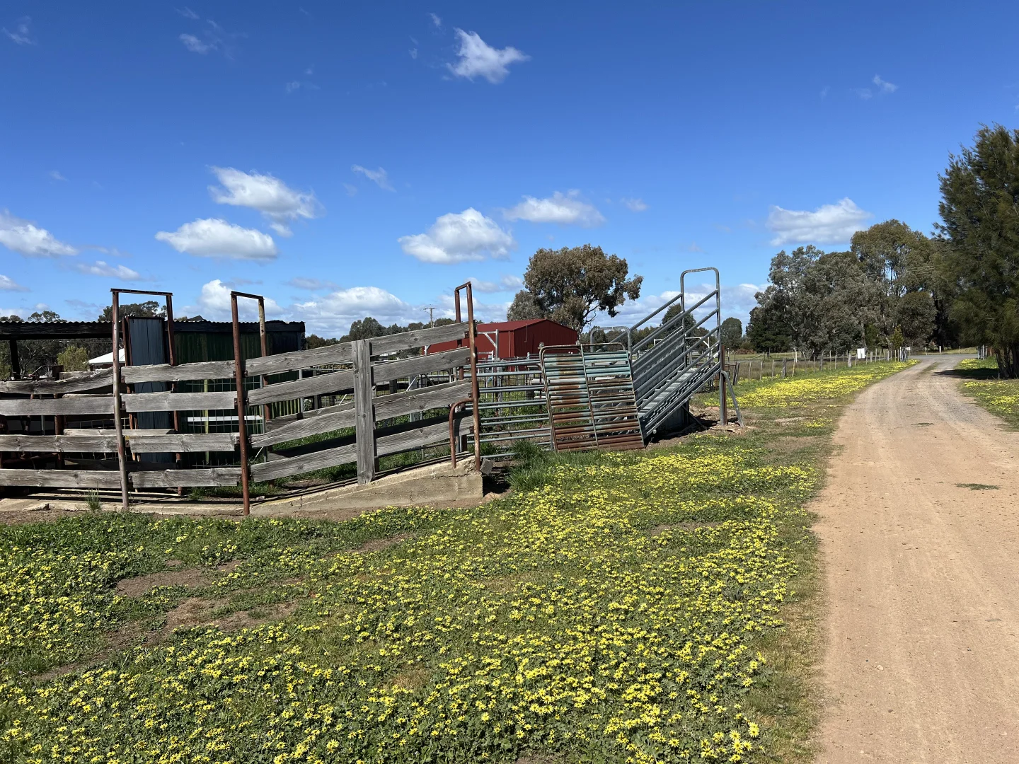 Additional image 8 of 1 Dennis Road, Benalla VIC 3672