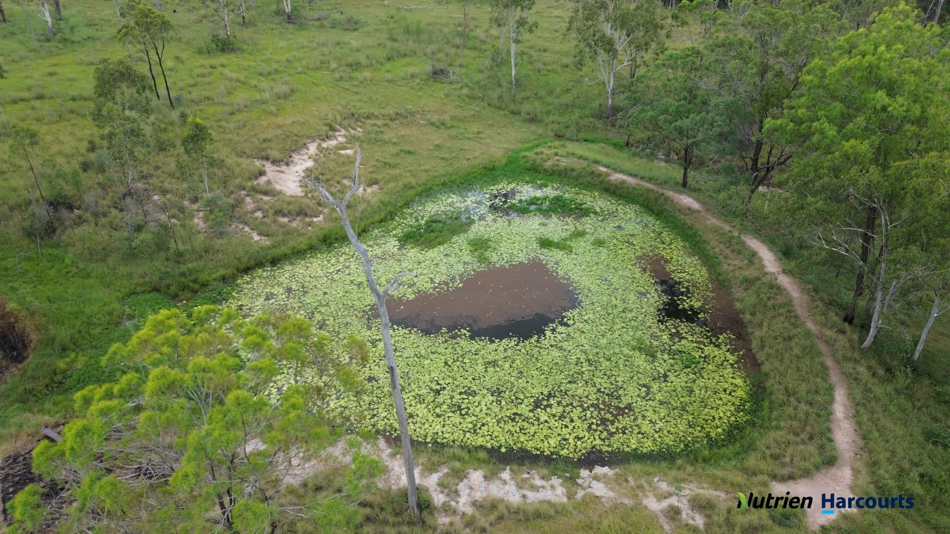 Additional image 13 of 754 Pedersens Road, Dangore QLD 4610