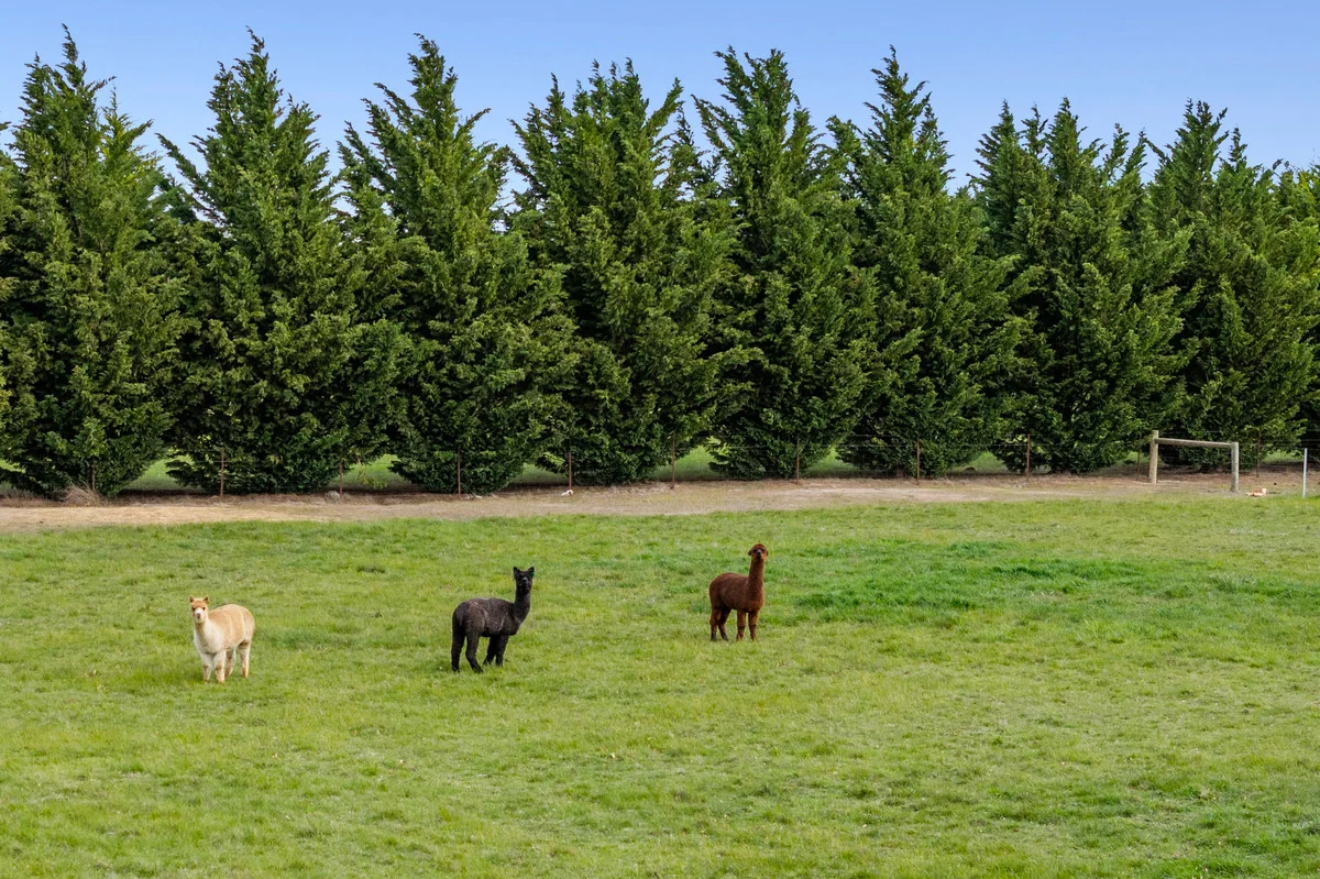 Additional image 24 of 210 Brooking Road, Gisborne VIC 3437