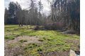 Additional image 51 of 234 Sutter Rd, Port Angeles, WA, 98362