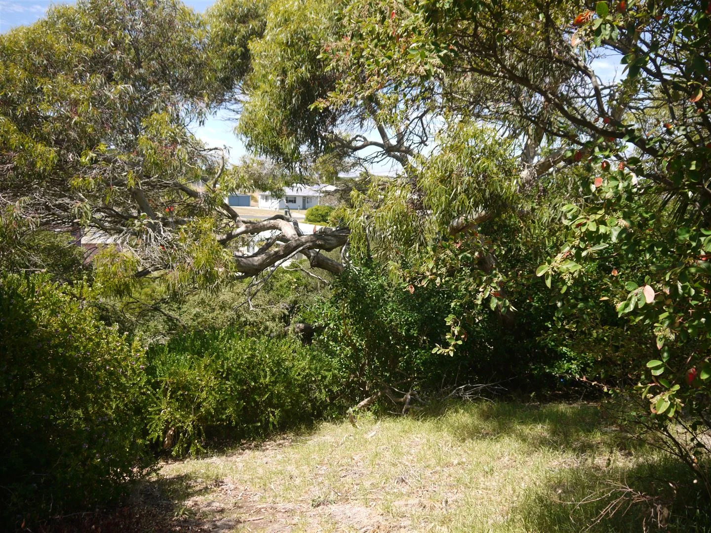 Additional image 12 of 11 Netherby Road, Currie TAS 7256