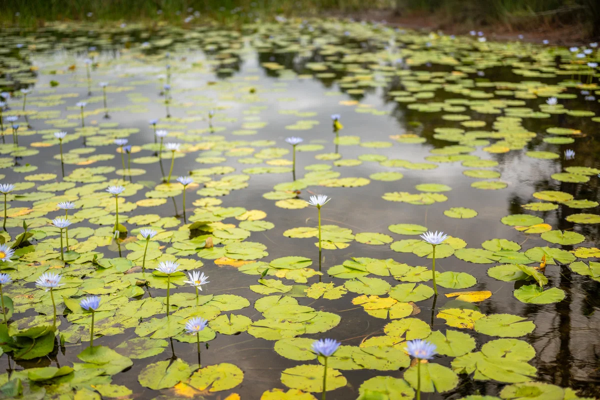 Additional image 12 of Tomerong NSW 2540