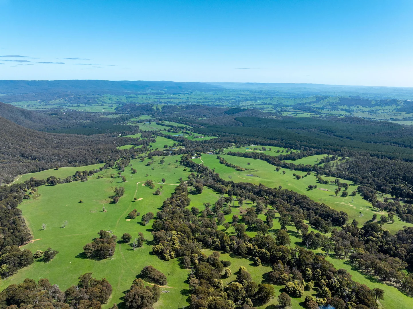 Additional image 29 of 682 Cathedral Lane, Taggerty VIC 3714