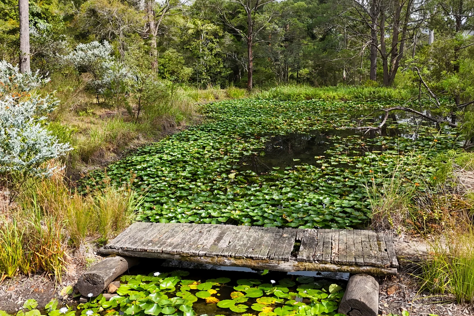 Additional image 33 of 75 Smiths Creek Road, Kundabung NSW 2441