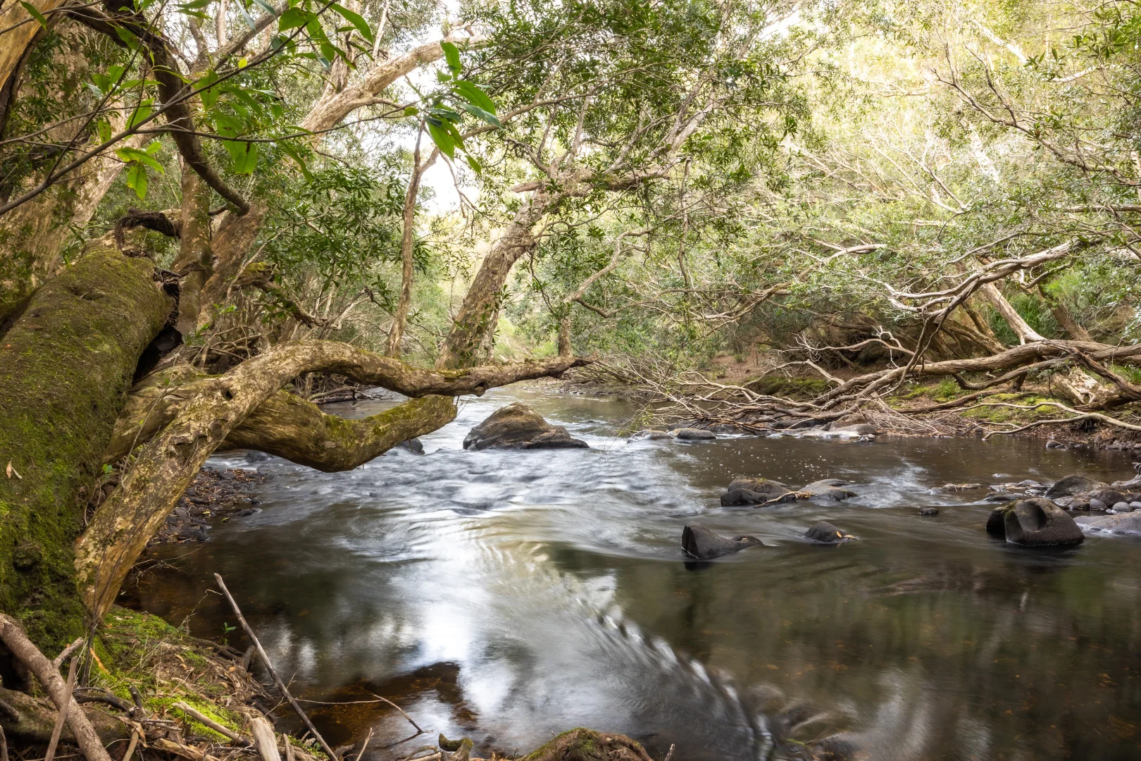 Additional image 34 of 56 Carisbrook Road, Morton NSW 2538