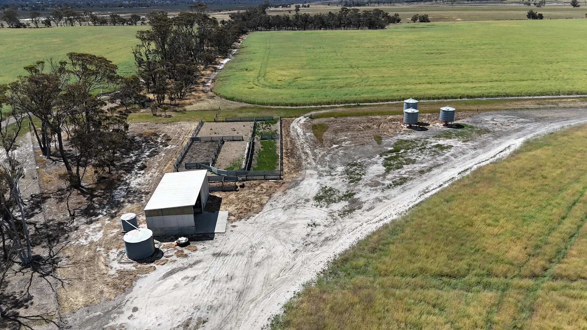 Additional image 16 of Kolonga Downs 175 McAuliffe Road, Katanning WA 6317