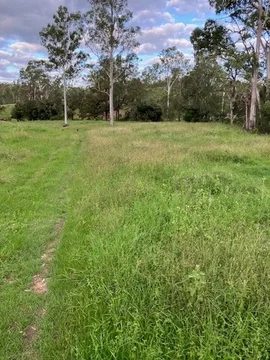 Additional image 35 of 142 PERRY RIVER FARMS RD, Morganville QLD 4671
