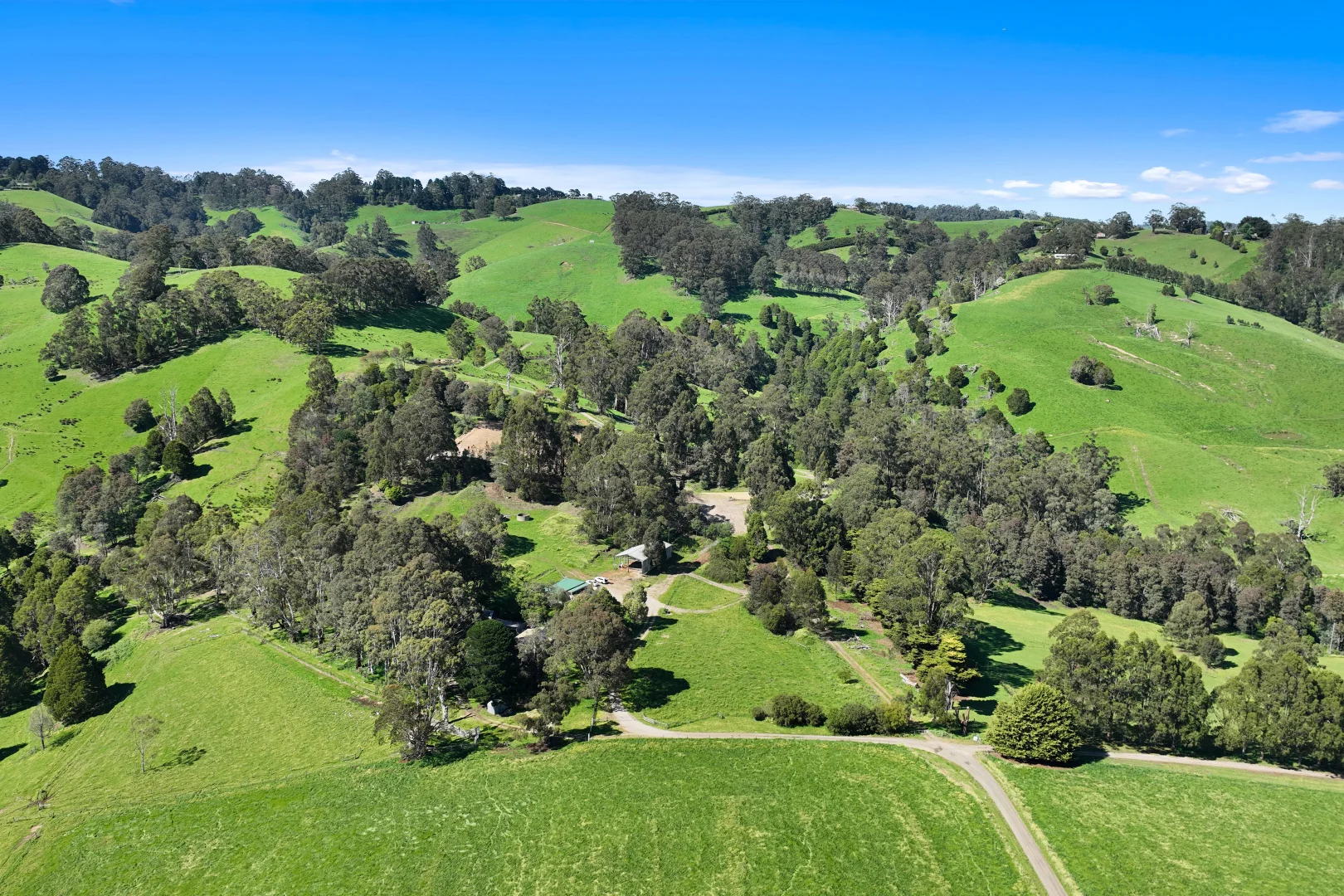Additional image 15 of 196 Peters Road, Ellinbank VIC 3821