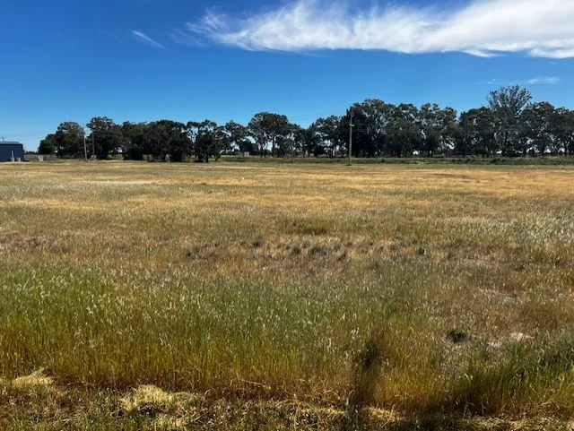 7-13 Poplar Avenue, Leeton NSW 2705