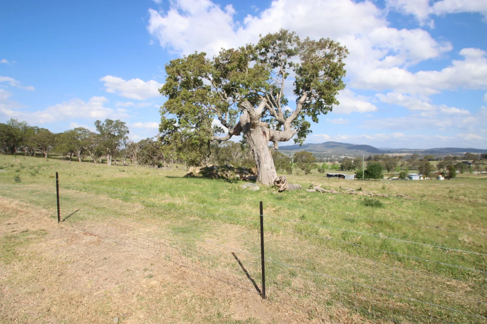 Additional image 4 of 130B Sunnyside Loop Road, Tenterfield NSW 2372