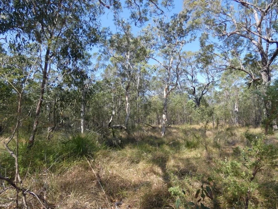 Additional image 29 of 641 Capricornia Drive, Deepwater QLD 4674