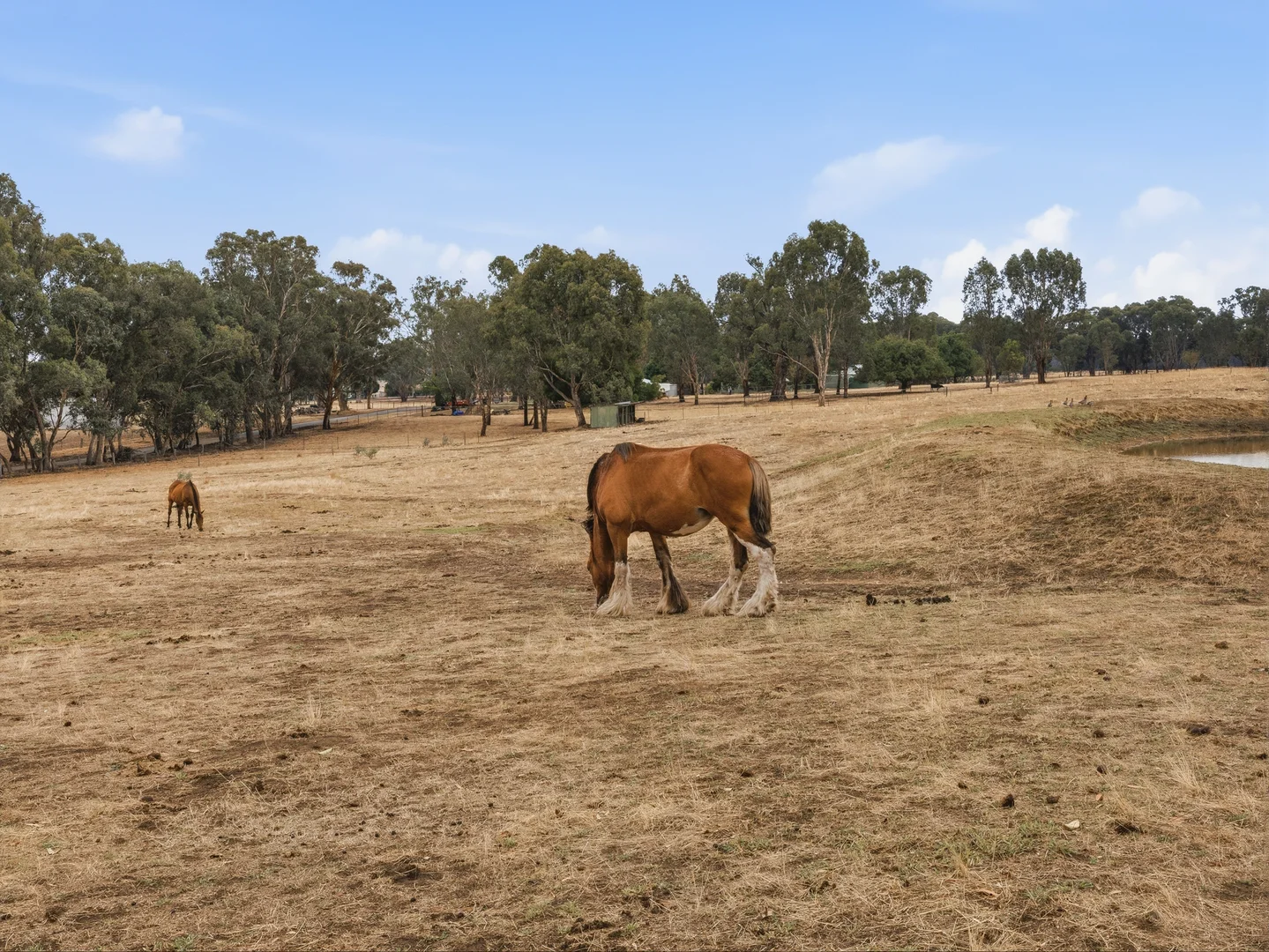 Additional image 22 of 45 Gibbs Lane, Moyhu VIC 3732