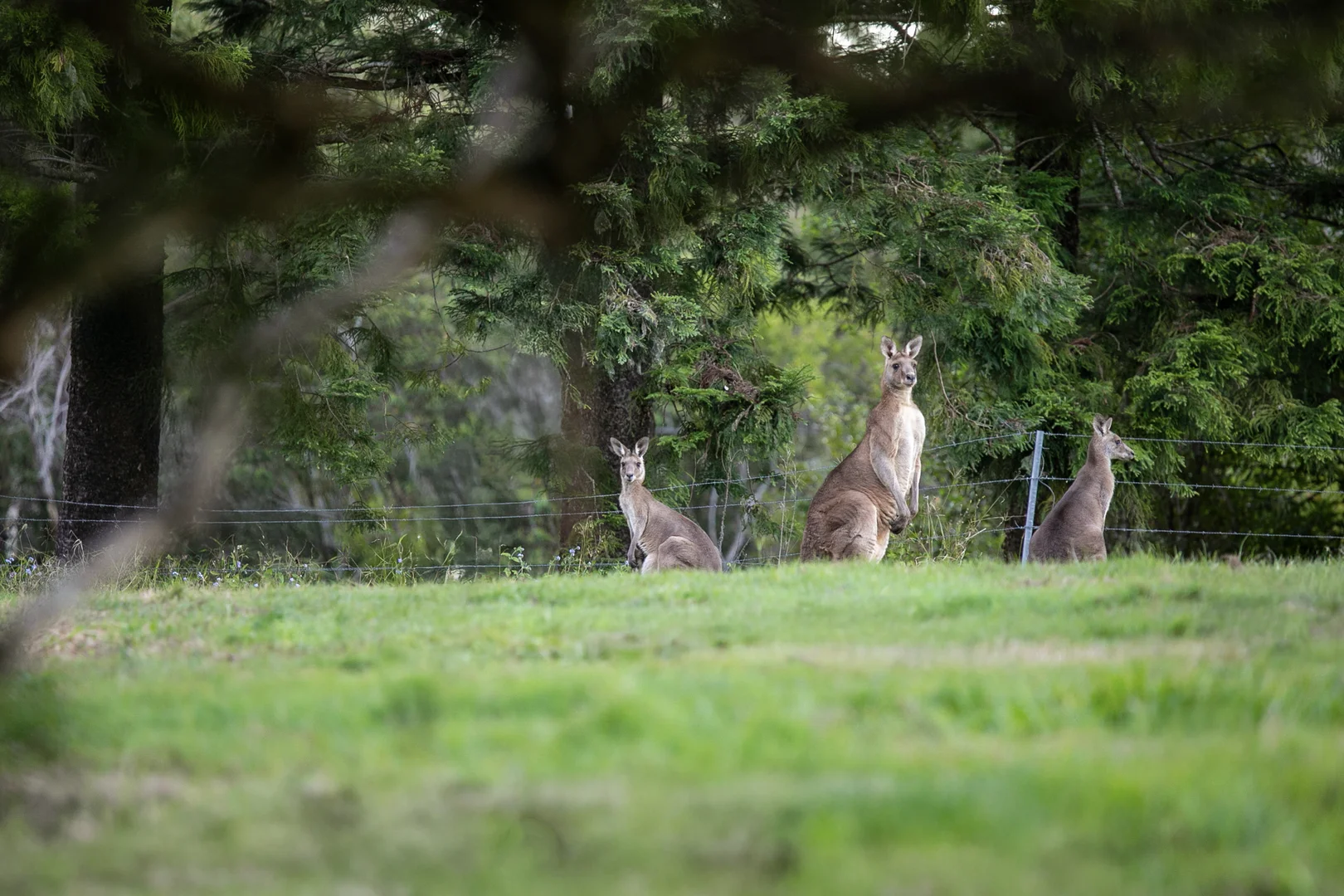 Additional image 6 of Lake Macdonald QLD 4563