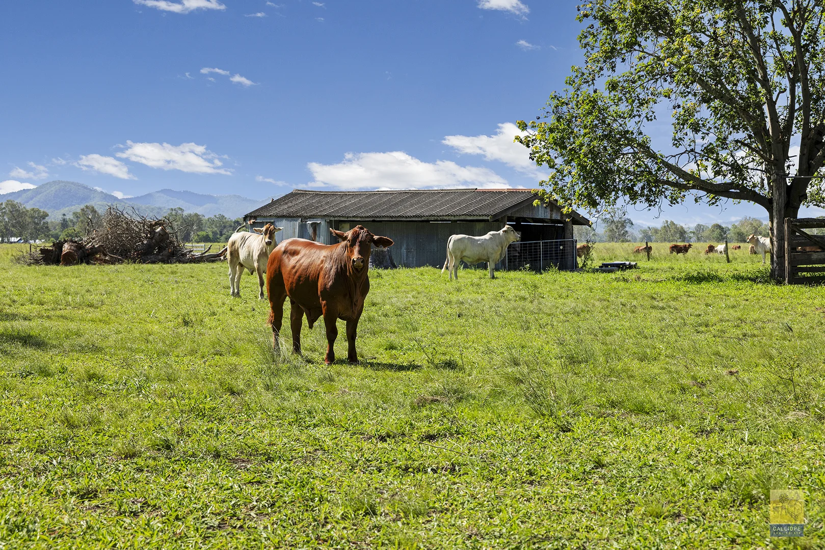 Additional image 23 of 85 Colinwood Lane, Boyne Valley QLD 4680